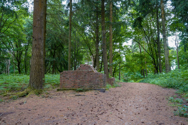 ruina de y antiguo edificio de ladrillo en el bosque - house farm brick chimney fotografías e imágenes de stock