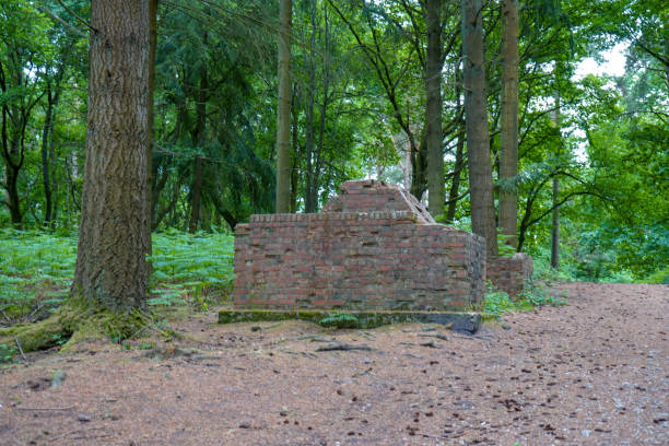 ruína e prédio de tijolos antigos na floresta - house farm brick chimney - fotografias e filmes do acervo