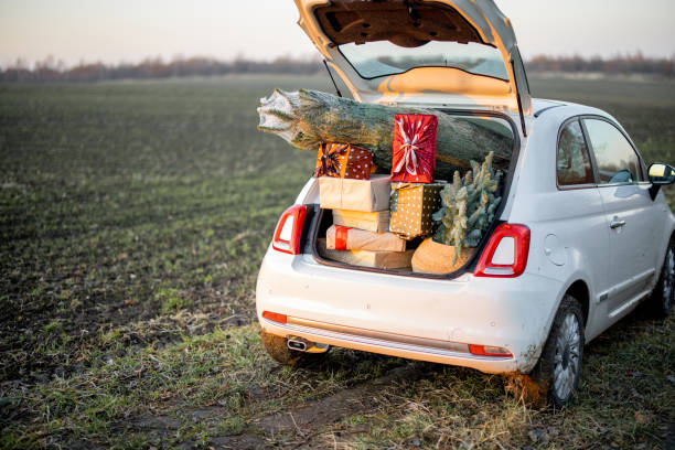 Car trunk full of gift boxes and Christmas tree on the field at sunset. Concept of New Year's mood. Idea of preparation for the holiday