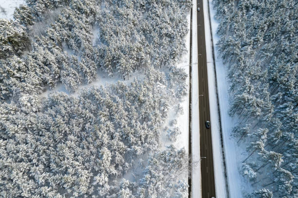 istock Black road and trees with chill snow in mountains 1357323663