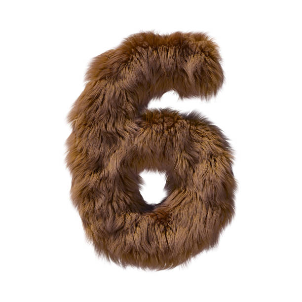 istock Brown teddy bear fur alphabet number 6 isolated on white background. 3D illustration. 1357323785