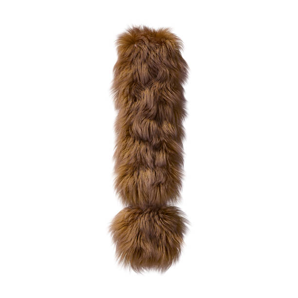 istock Brown teddy bear fur alphabet exclamation mark isolated on white background. 3D illustration. 1357323933
