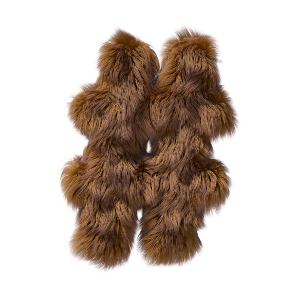istock Brown teddy bear fur alphabet hashtag isolated on white background. 3D illustration. 1357323952