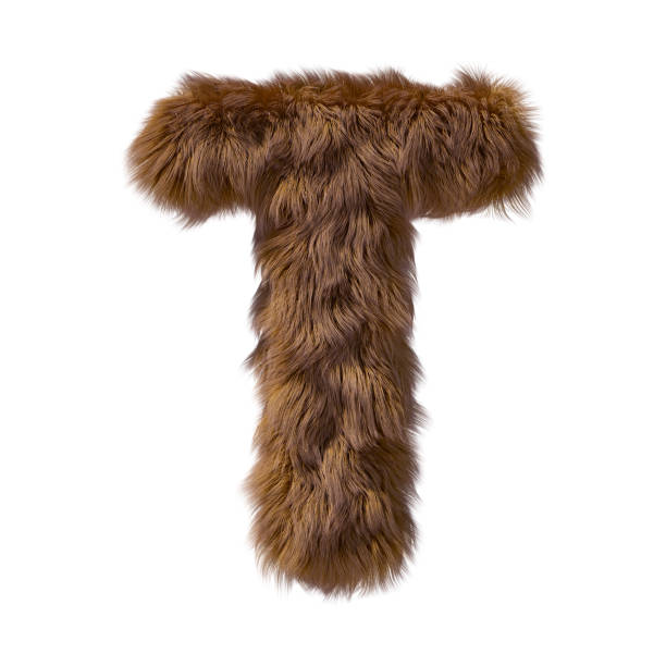 istock Brown teddy bear fur alphabet letter isolated on white background. 3D illustration. 1357323976