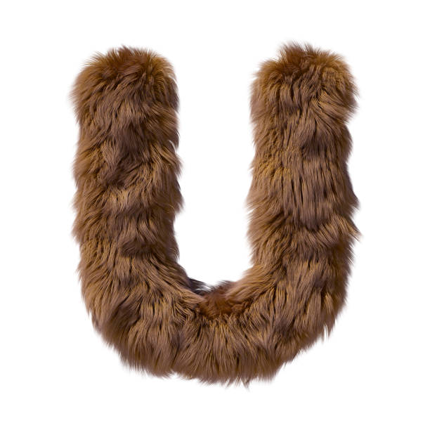 istock Brown teddy bear fur alphabet letter isolated on white background. 3D illustration. 1357323981