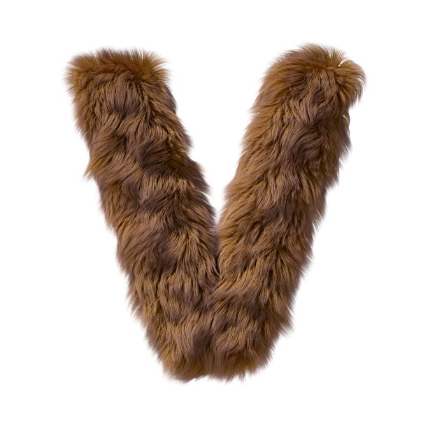 istock Brown teddy bear fur alphabet letter isolated on white background. 3D illustration. 1357323990
