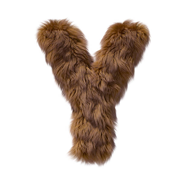 Brown teddy bear fur alphabet letter isolated on white background. 3D illustration.