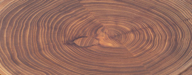 加工された丸いカット木材と年のリング - wood tree textured wood grain ストックフォトと画像