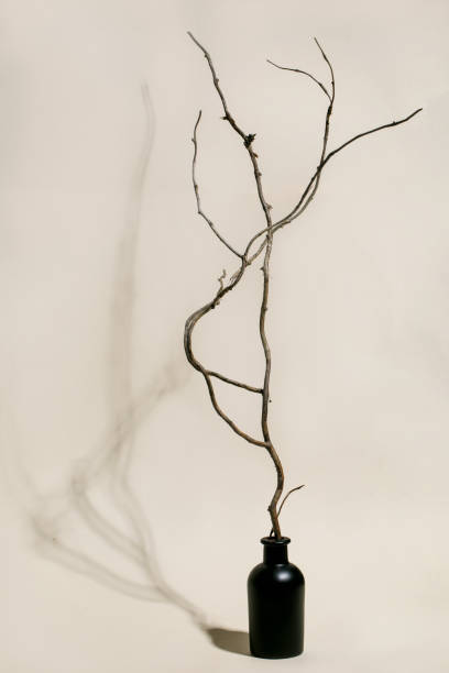 istock Dry wooden tree branch in black ceramic bottle 1357335809