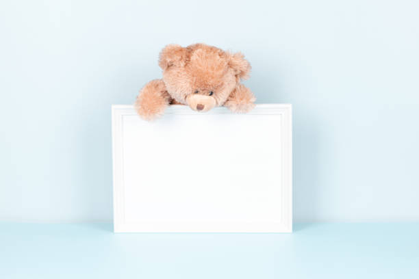 Toy teddy bear on white wooden picture frame with blank mock up copy space, light blue background. Front view