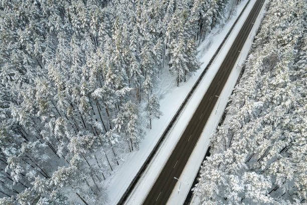istock Black road and trees with chill snow in mountains 1357336983