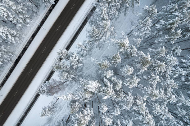 istock Black road and trees with chill snow in mountains 1357337210