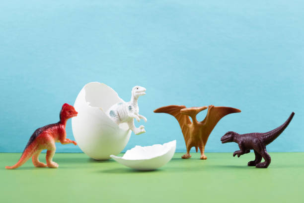 계란에서 나오는 공룡 - animal egg eggs hatching evolution 뉴스 사진 이미지