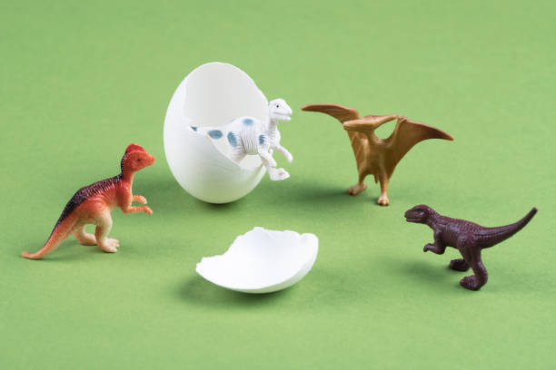 Dinosaur emerging from an egg stock photo