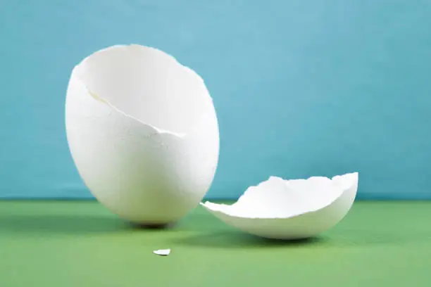 Photo of Broken egg shell