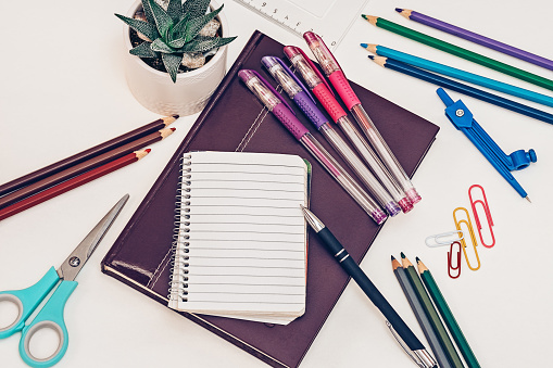 Office, desk, pens, pencils, scissors, flower plant, triangle rule, paper clips, notebook, order, colorful. Horizontal photo.