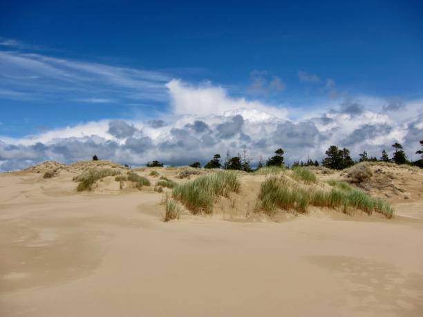 istock Umpqua Dunes after the rain 1357344851