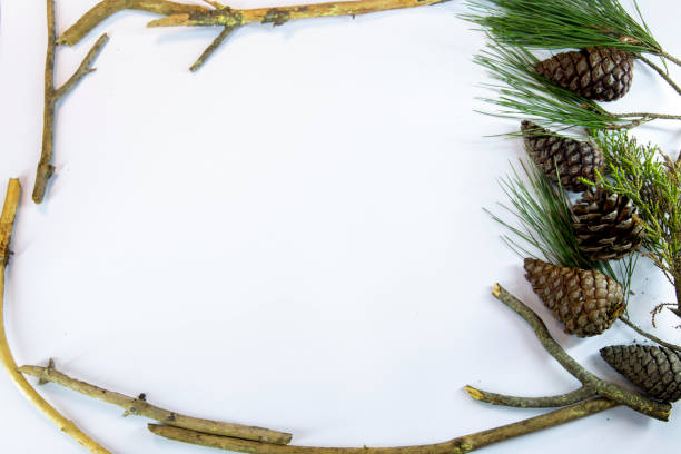 istock White background decorated with cones and pine tree branches. Space is left for writing. 1357349198