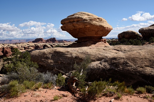 A variety of rock layers and formations are seen on the trail from Elephant Hill to Chesler Park in The Needles section of Canyonlands National Park.