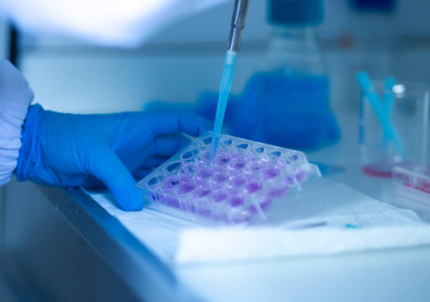 istock Medical and medicine laboratory 1357349401