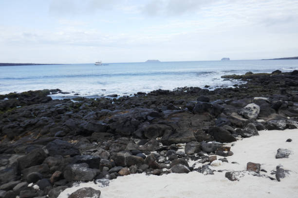 Mosquera is a very small island belonging to the Galapagos and home of the largest colony of sea lions on the entire archipelago.
