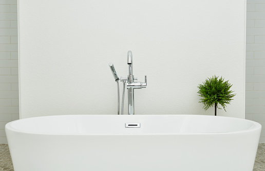 Modern Bright White Bathroom Setting  with Free Standing Bath and Greenery