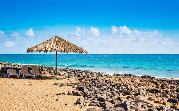 スペインのランサローテ島のサニービーチ。カナリア諸島の海の波、溶岩、ターコイズブルーの海の波と砂浜の乾燥したヤシの葉とサンチェアからの天然傘 - プエルトデルカルメン ストックフォトと画像
