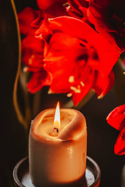 istock Beautiful Shots of Amaryllis 1357354834
