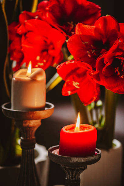 istock Beautiful Shots of Amaryllis 1357354874