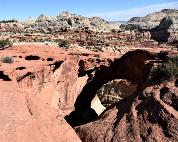 istock Cassidy Arch, Capitol Reef National Park 1357359484
