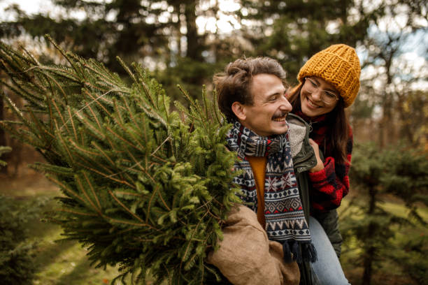 giovane che porta a casa la fidanzata e l'albero di natale nella soleggiata giornata invernale - fun knit hat adult dating foto e immagini stock