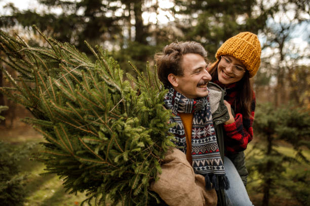 Young man carrying girlfriend and Christmas tree home on sunny winter day stock photo