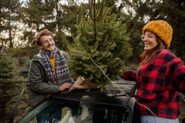istock Young couple carrying home their Christmas tree 1357360447