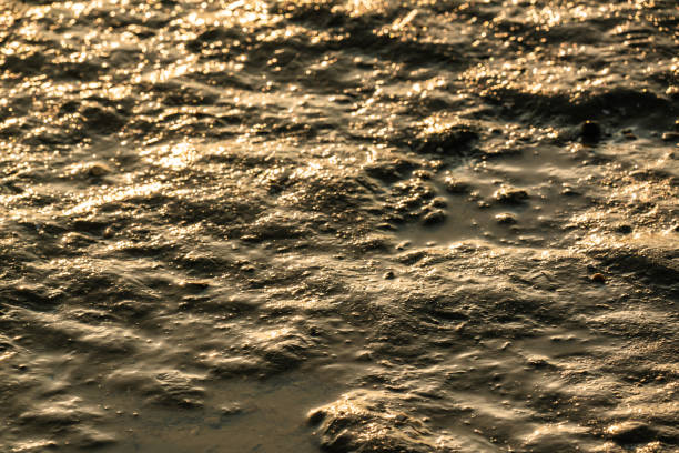 Wet beach sand with natural grooves or patterns of ripples
