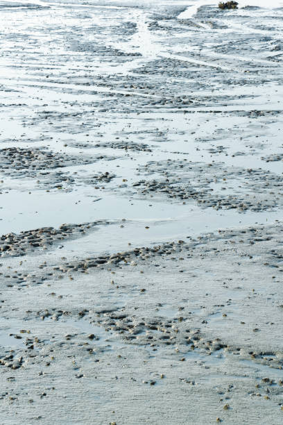 istock Wet beach sand with natural grooves or patterns of ripples 1357364167