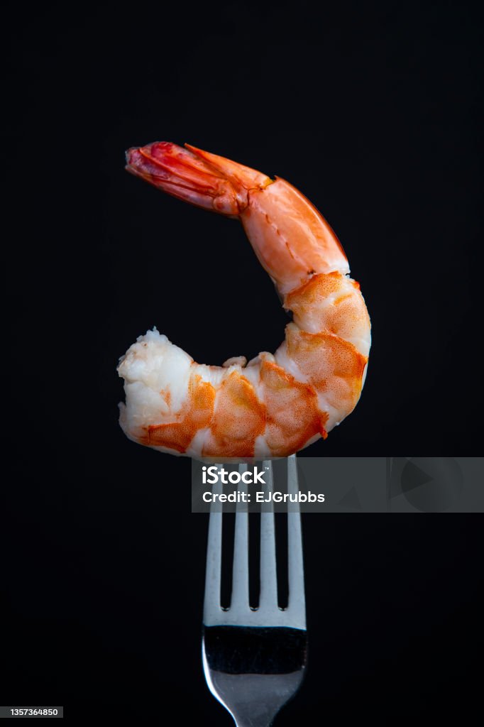 Jumbo Cooked shrimp on a fork isolated on black background Tasty, delicious fresh jumbo shrimp full of vitamins and minerals and a rich source of protein Black Background Stock Photo