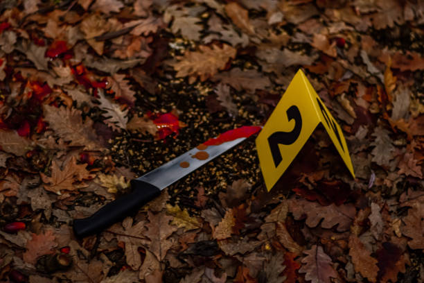istock Forensic scientist on a crime scene collecting evidence 1357368397
