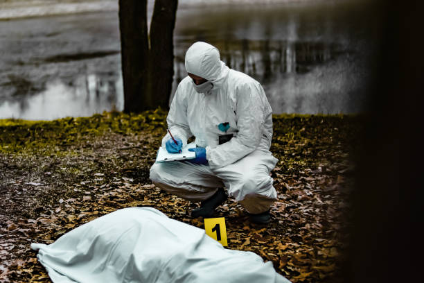 Forensic scientist on a crime scene collecting evidence stock photo