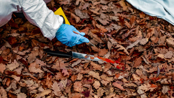 istock Forensic scientist on a crime scene collecting evidence 1357370005