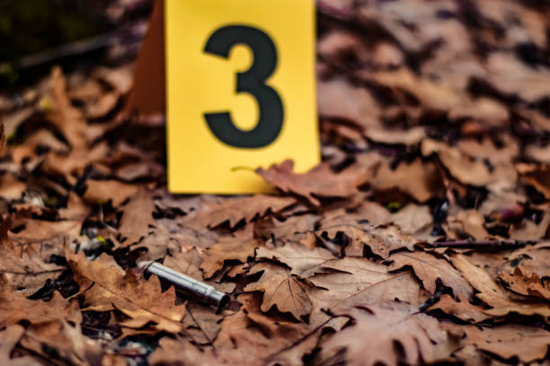 Forensic scientist on a crime scene collecting evidence stock photo