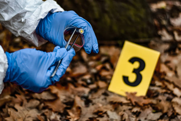 scienziato forense sulla scena del crimine che raccoglie prove - 1 2 months foto e immagini stock