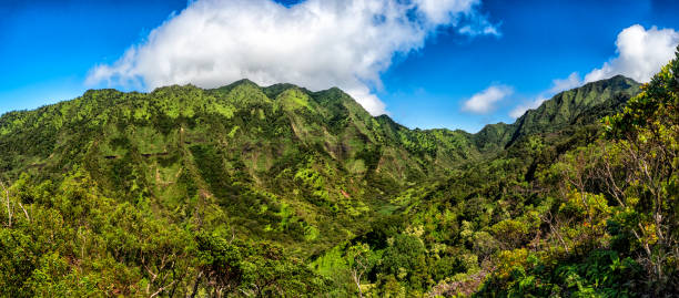 istock Mountains of Oahu 1357381336