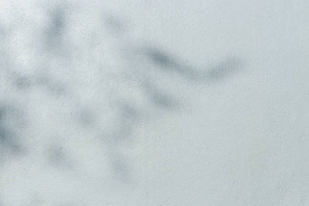 istock concrete or cement material and leaf shadow on abstract wall background texture. 1357383019