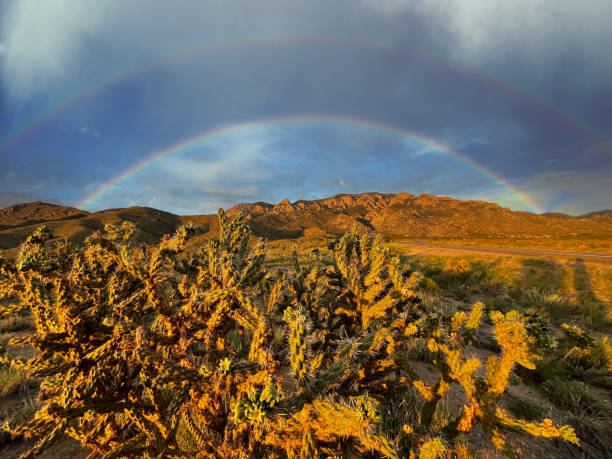 двойная радуга над горами сандия - moody sky dark saturated color extreme terrain стоковые фото и изображения