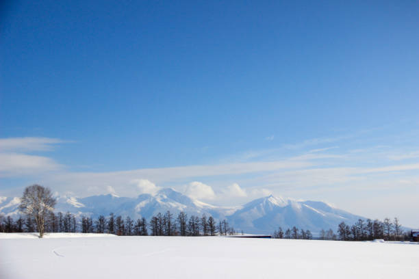 istock Snowfield and blue sky 1357396850
