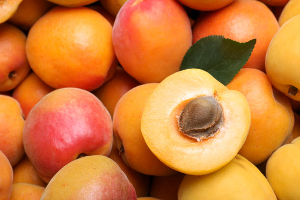 istock Delicious fresh ripe apricots as background, closeup 1357397955