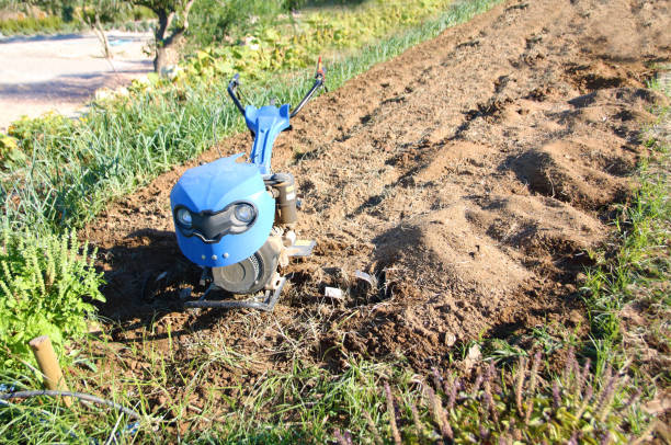 A woman cultivating a home garden with a cultivator