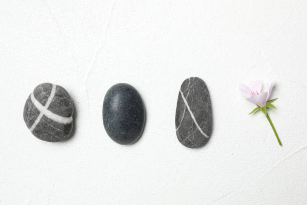 istock Spa stones and fresia flower on white table, flat lay 1357400438