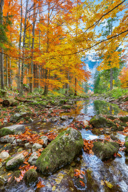 istock Stunning autumn scene of Langbathsee lake 1357400577