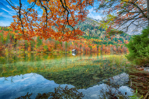 Fabulous autumn scene of Hinterer Langbathsee lake. Poppular travell destination. Location: Vorderer Langbathsee, Salzkammergut region, Upper Austria, Austria, Europe.